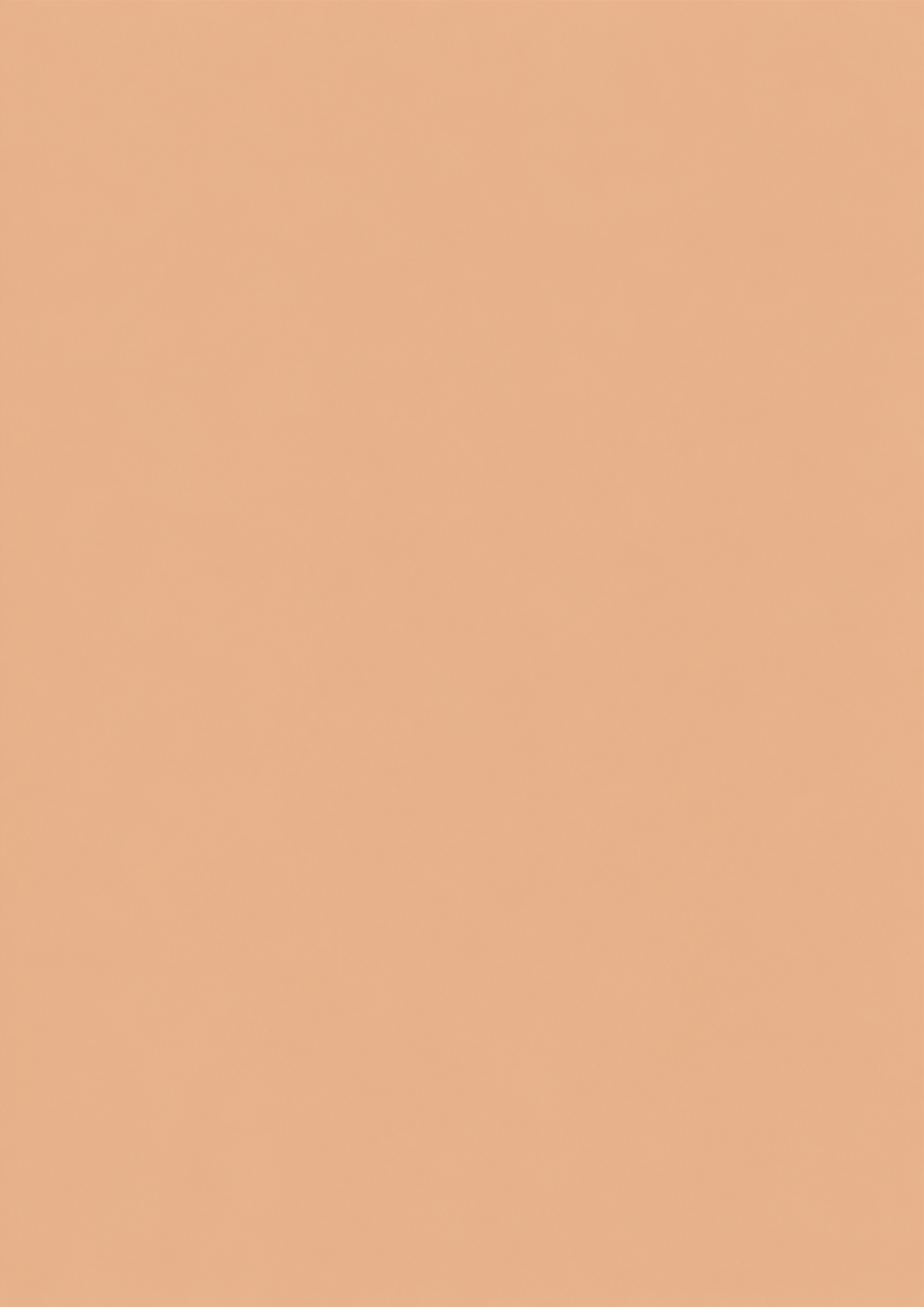 Lumikela™ Korean Color-Changing Foundation stick