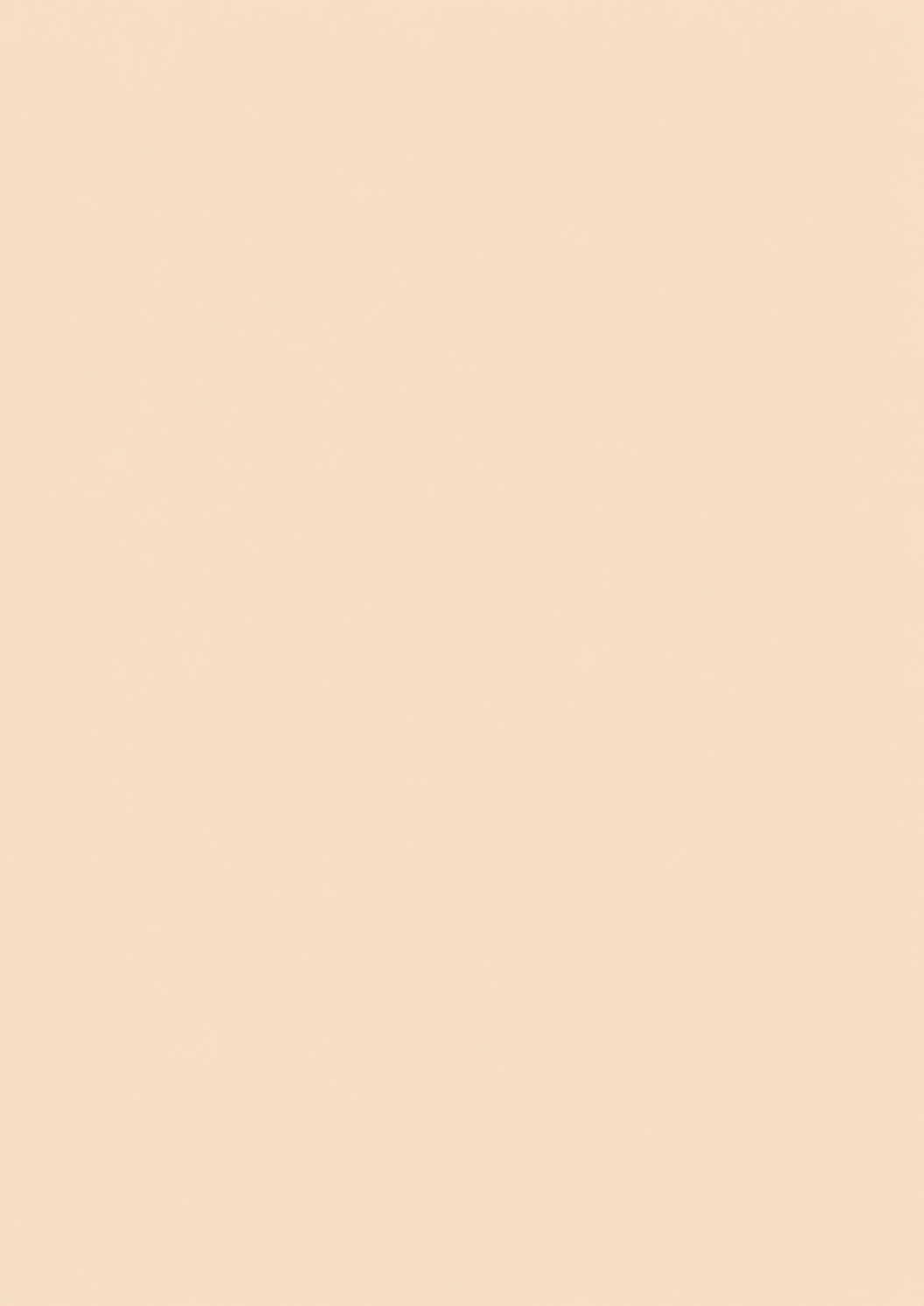 Lumikela™ Korean Color-Changing Foundation stick