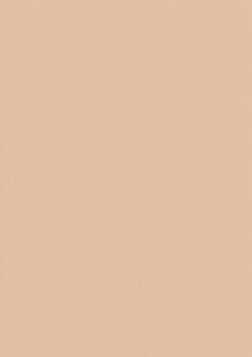 Lumikela™ Korean Color-Changing Foundation stick