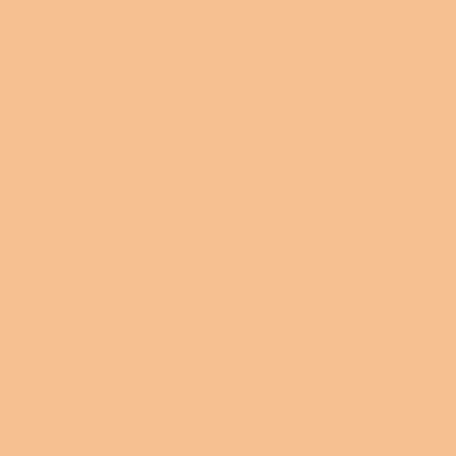 CC color-correcting tinted serum + FREE brush