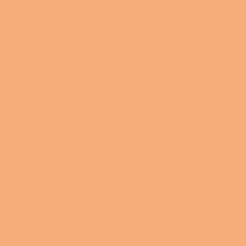 CC color-correcting tinted serum + FREE brush